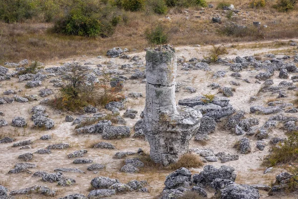 Pobiti Kamani Fenómeno Natural También Conocido Como Bosque Piedra Bulgaria —  Fotos de Stock