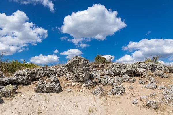 Rocas Pobiti Kamani Fenómeno Natural También Conocido Como Bosque Piedra —  Fotos de Stock