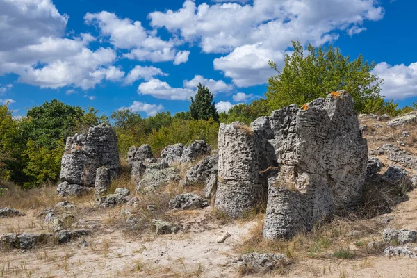 Rocas Pobiti Kamani Fenómeno Natural También Conocido Como Bosque Piedra — Foto de Stock