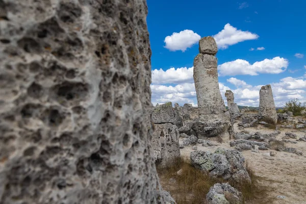 Coluna Pedra Pobiti Kamani Fenômeno Natural Chamado Floresta Pedra Bulgária — Fotografia de Stock