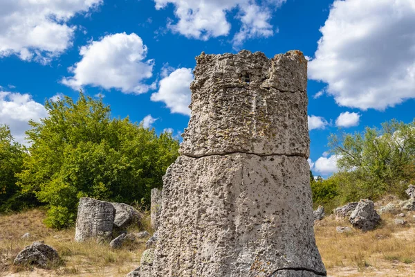 Columna Piedra Pobiti Kamani Fenómeno Natural Llamado Bosque Piedra Bulgaria — Foto de Stock