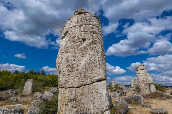 Columna Piedra Pobiti Kamani Fenómeno Natural Llamado Bosque Piedra Bulgaria —  Fotos de Stock