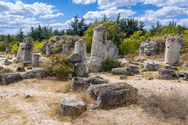 Pobiti Kamani Fenómeno Natural Llamado Bosque Piedra Desierto Bulgaria —  Fotos de Stock