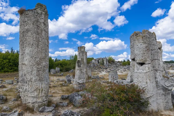 Columnas Piedra Pobiti Kamani Fenómeno Natural Llamado Bosque Piedra Bulgaria —  Fotos de Stock