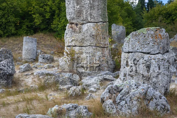 Pobiti Kamani - natural phenomenon called Stone Forest, Bulgaria