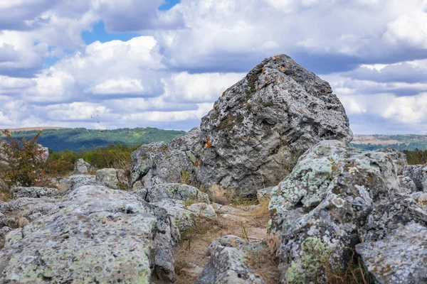 Pobiti Kamani Deki Bir Kayaya Yaklaş Bulgaristan Taş Ormanı Adlı — Stok fotoğraf