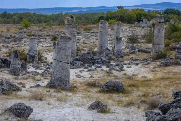 Pobiti Kamani Fenómeno Natural Llamado Bosque Piedra Desierto Bulgaria —  Fotos de Stock