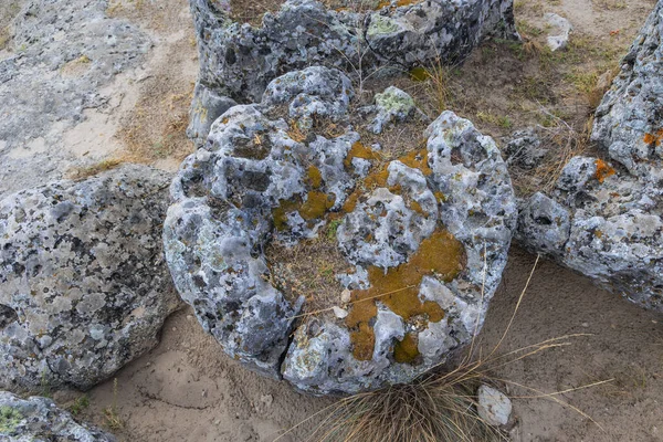 Lichen Rock Pobiti Kamani Natural Phenomenon Called Stone Forest Bulgaria — Stock Photo, Image