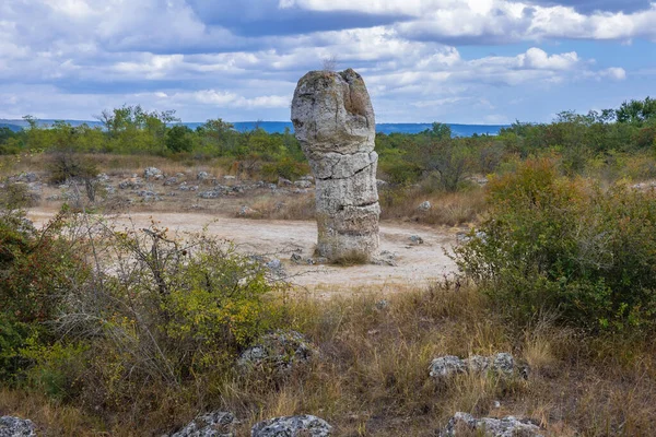 Columna Piedra Pobiti Kamani Fenómeno Natural Llamado Bosque Piedra Bulgaria — Foto de Stock