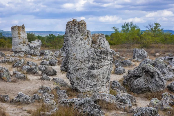 Piedras Pobiti Kamani Fenómeno Natural Llamado Bosque Piedra Bulgaria —  Fotos de Stock