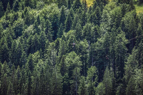 Ciumarna Pass Ρουμανία Ιουλίου 2019 Tourist Zip Line Ciumarna Pass — Φωτογραφία Αρχείου