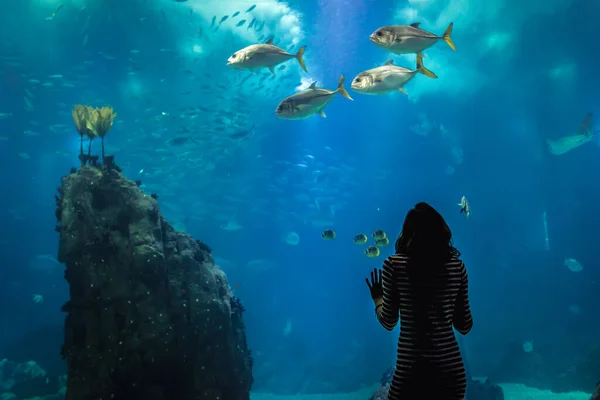 Lissabon Portugal November 2018 Vrouw Voor Grootste Aquarium Lissabon Oceanarium — Stockfoto