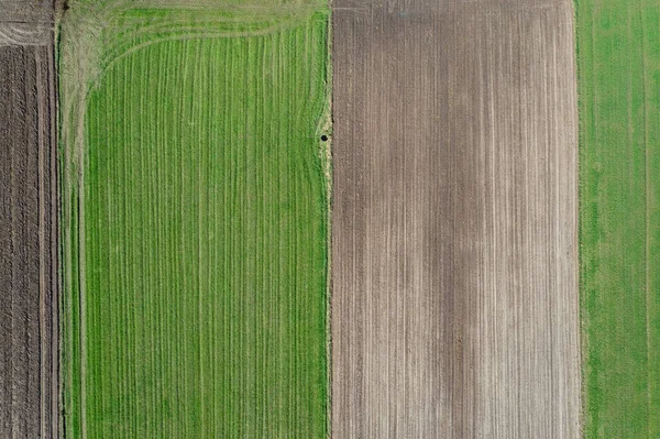 波兰Mazowsze地区Jaczew小村庄泉水田的无人机高角照片 — 图库照片