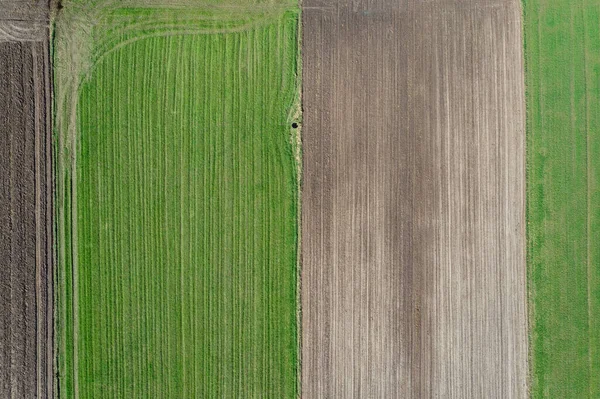 Drohnen Hochwinkel Foto Von Frühlingsfeldern Jaczew Einem Kleinen Dorf Der — Stockfoto