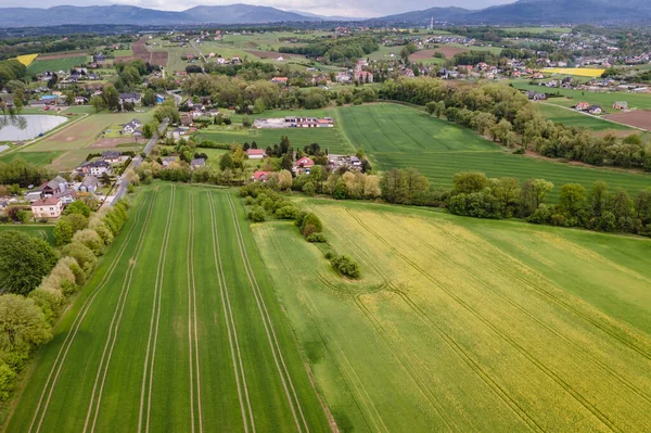 Drone View Fields Miedzyrzecze Gorne Kis Falu Sziléziában Régió Lengyelországban — Stock Fotó