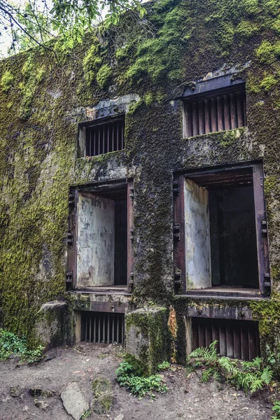 Mamerki Polen Augustus 2017 Oude Bunker Mamerki Voormalig Nazi Bunkercomplex — Stockfoto