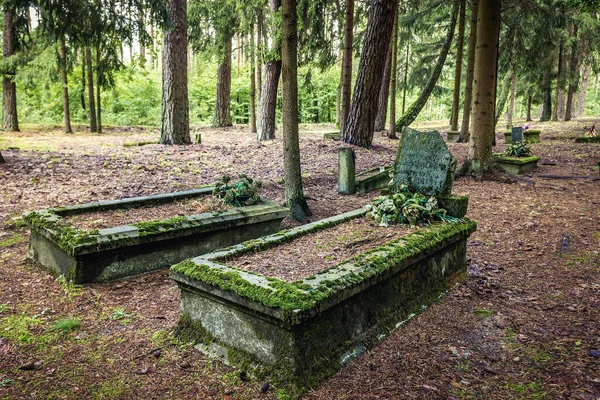 Jeziorowskie Poland August 2017 Graves Old Evangelical Cemetery Jeziorowskie Village — Stock fotografie