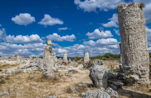 Stone Columns Pobiti Kamani Area Famous Rock Formations Bulgaria — Foto de Stock