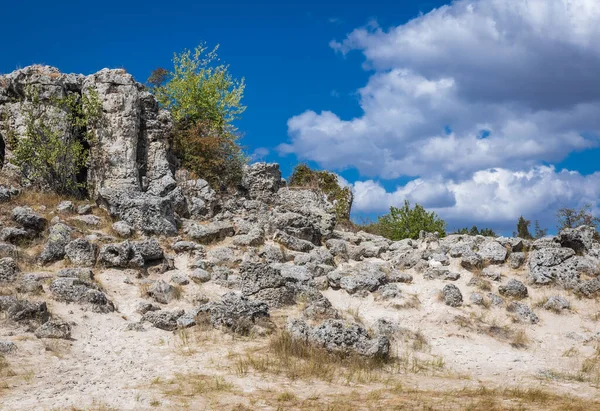 Rocas Zona Pobiti Kamani Famosas Formaciones Rocosas Bulgaria —  Fotos de Stock