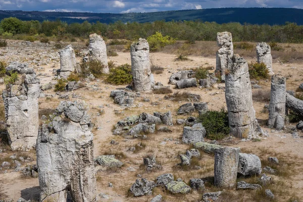 Stone columns in famous Pobiti Kamani area of rock formations, Bulgaria