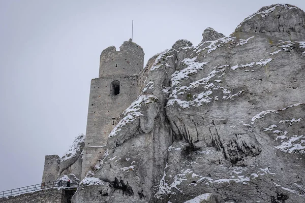 Een Van Torens Van Kasteel Ogrodzieniec Het Dorp Podzamcze Polen — Stockfoto