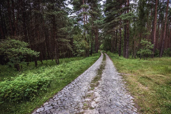 Paved Road Cedynia Landscape Park West Pomerania Region Poland — Photo