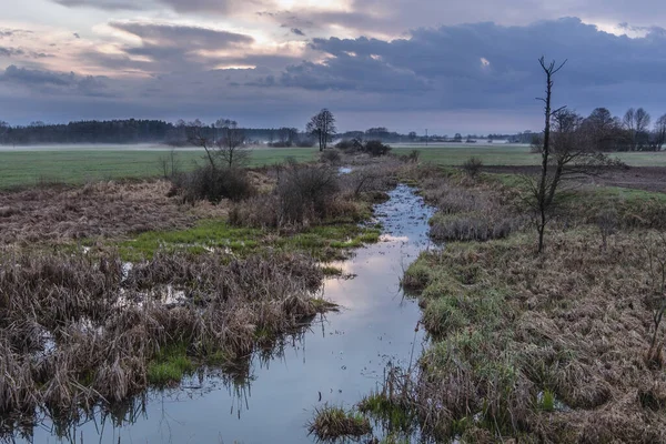 Belczac Floden Liwiec Floden Wegrow County Masovia Regionen Polen - Stock-foto