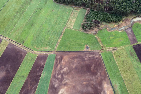 Drone Foto Los Campos Cerca Paplin Pequeño Pueblo Región Masovia —  Fotos de Stock