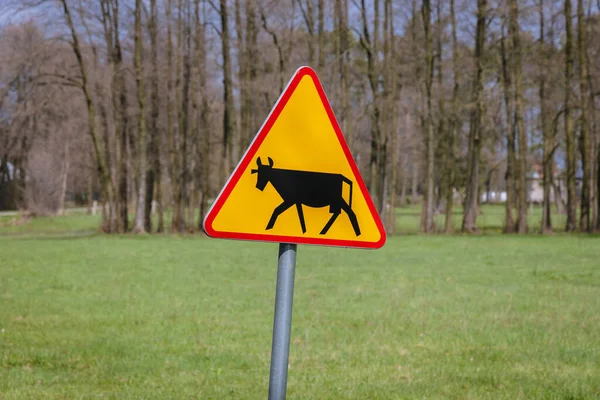 Cattle Sign Road Wegrow County Masovia Region Poland — Stock Photo, Image