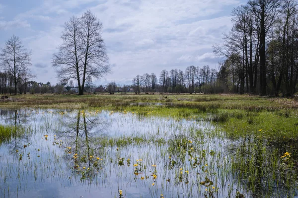 Pradera Inundada Después Las Lluvias Primavera Condado Wegrow Masovia Polonia — Foto de Stock