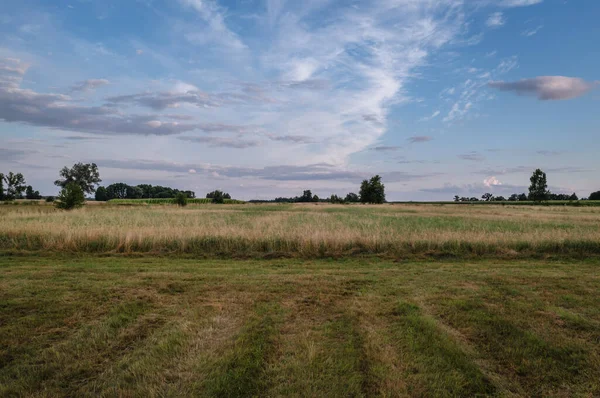 Evening View Meadow Wegrow County Mazowsze Region Poland — Foto de Stock