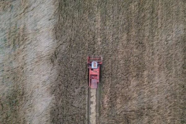 Combine Harvester Mazowsze Region Poland Drone View — Stok fotoğraf