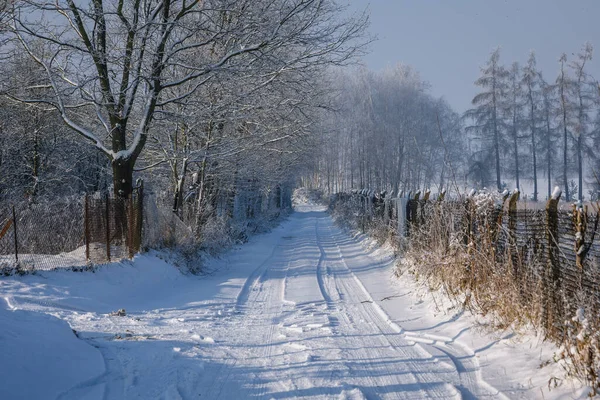 Rural Road Winter Rogow Village Lodz Province Poland — Stock Fotó