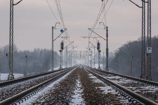 Railway Tracks Covered Snow Rogow Village Lodz Province Poland — Stockfoto