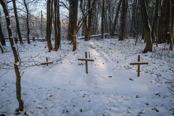Wooden Crosses World War Cemetery Rogow Lodz Province Poland — 스톡 사진