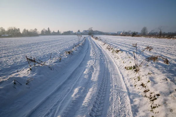 Country Road Rogow Village Lodz Province Poland — Stockfoto