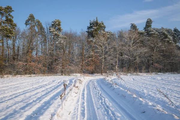 Field Road Winter Rogow Village Lodz Province Poland — Photo