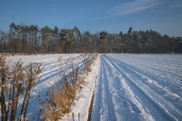 Field Road Covered Snow Winter Rogow Village Lodz Province Poland —  Fotos de Stock