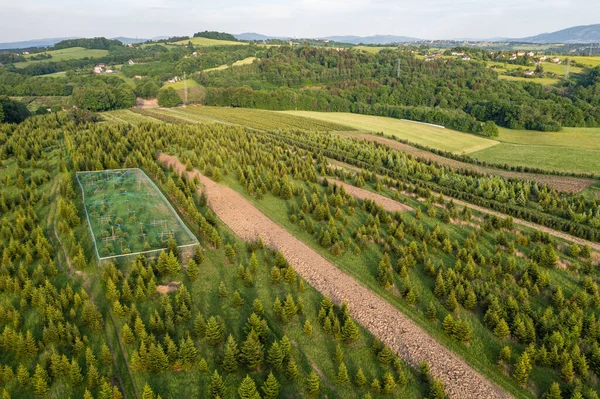 Drone Photo Rural Landscape Terlicko Municipality Czech Republic — Fotografia de Stock