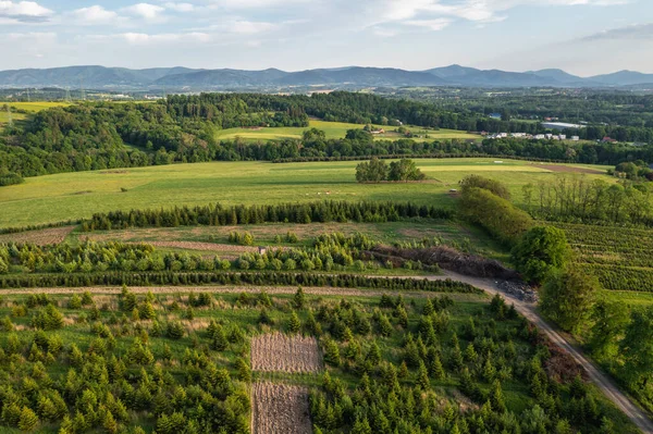Rural Landscape Terlicko Municipality Czech Republic — ストック写真