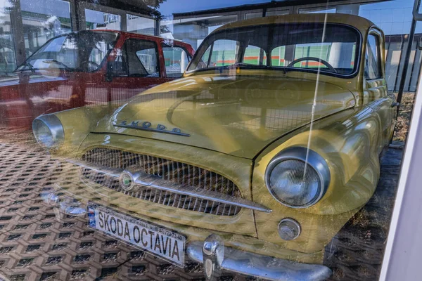 Rawa Mazowiecka Poland February 2022 Skoda Octavia Vintage Car Exhibit — Stock Photo, Image