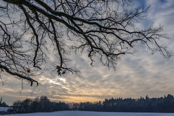 Winter View Rogow Village Lodz Province Poland — Photo