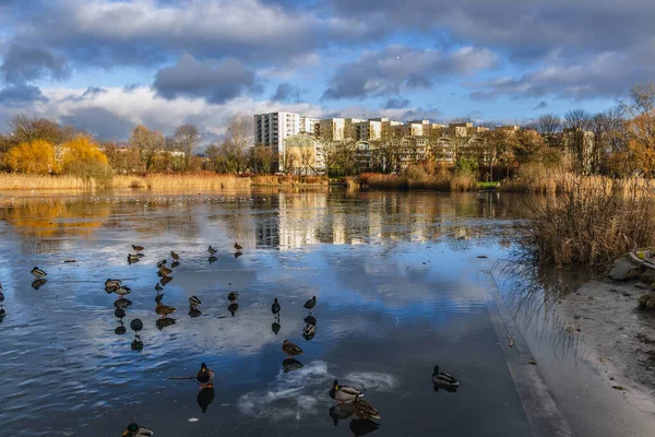 Klei Put Vijver Szczesliwicki Park Warschau Stad Polen — Stockfoto