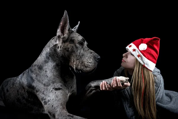 Dog the Great Dane with the girl in a cap of Santa Claus — Stock Photo, Image