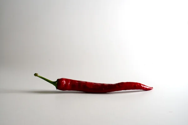 Chile erős paprika elszigetelt és árnyék — Stock Fotó