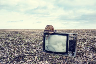 eski bir tv şapka ile sonbahar bir alandır