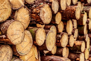 ahşap arka plan olarak kazık ambar