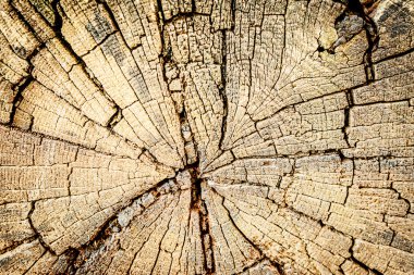 eski dokusal arka plan şeklinde ahşap