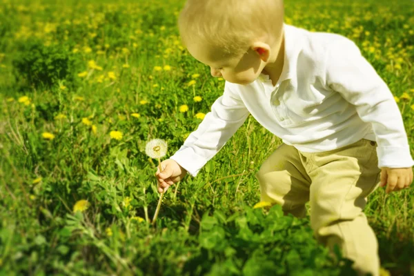 Petit garçon enfant avec fleur de pissenlit en été — Photo