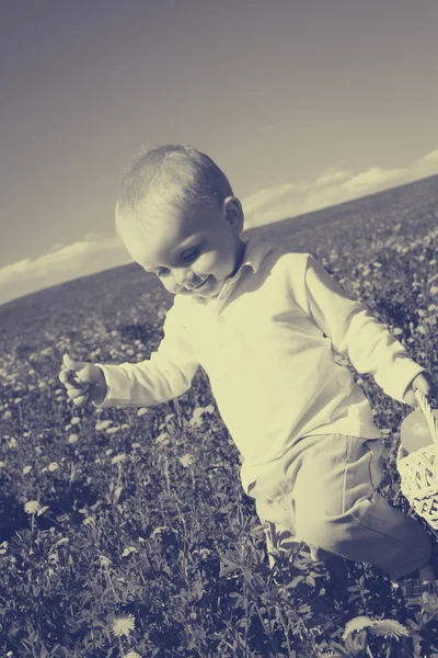 Niño pequeño en el picnic de verano con cesta de frutas — Foto de Stock